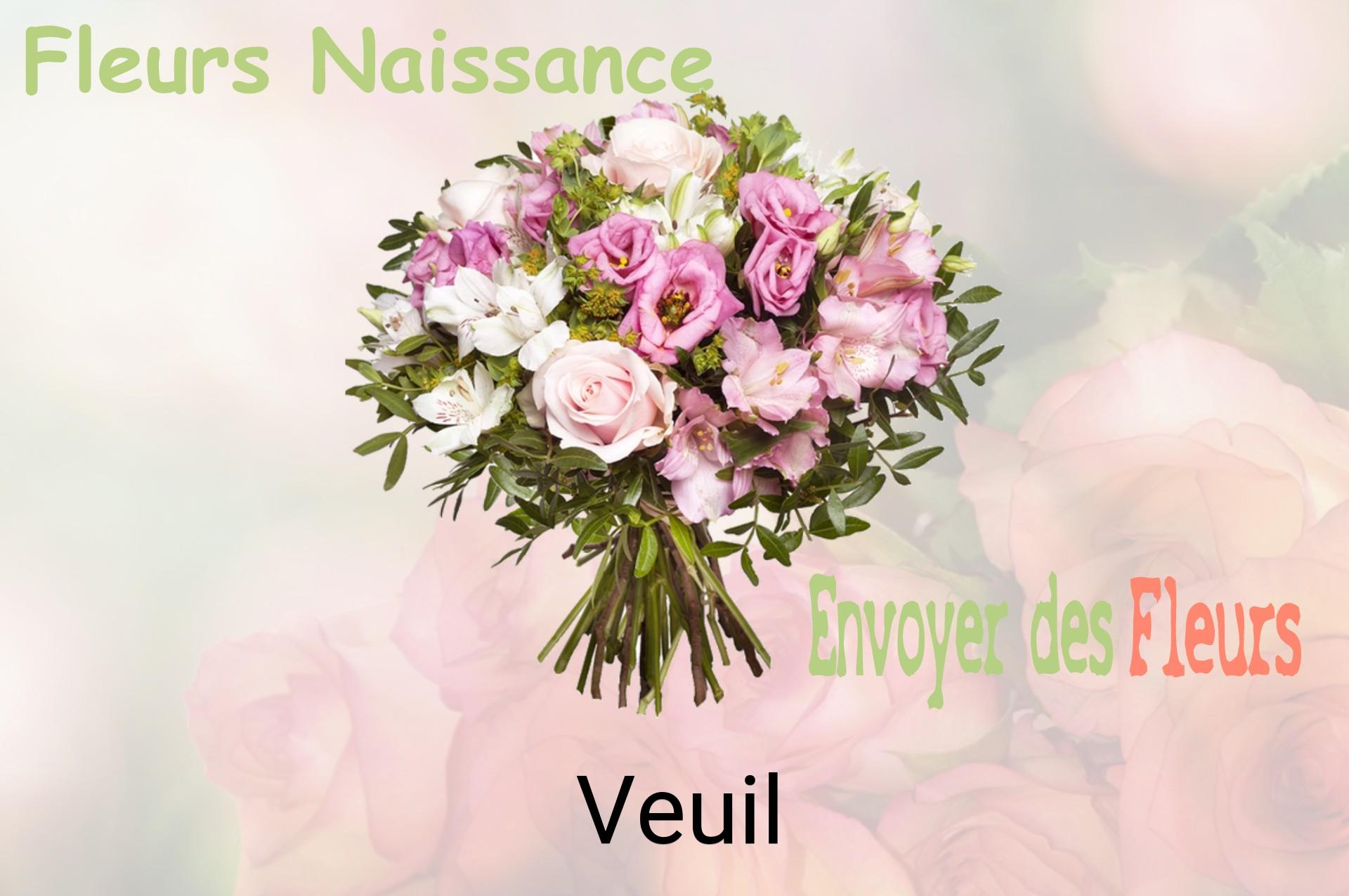 Bouquet de fleurs de naissance livré à Veuil
